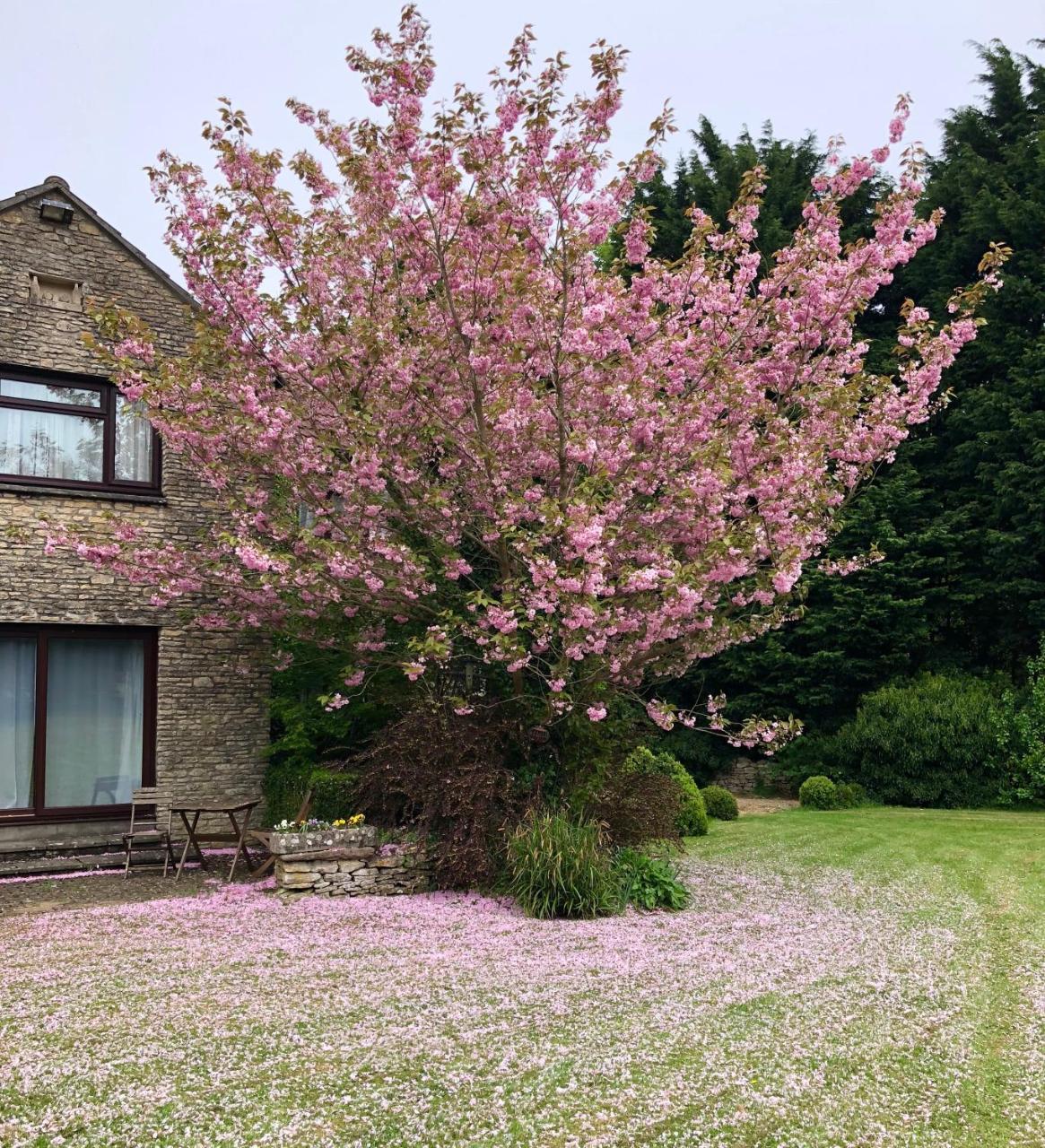 Best Western Compass Inn Tormarton エクステリア 写真